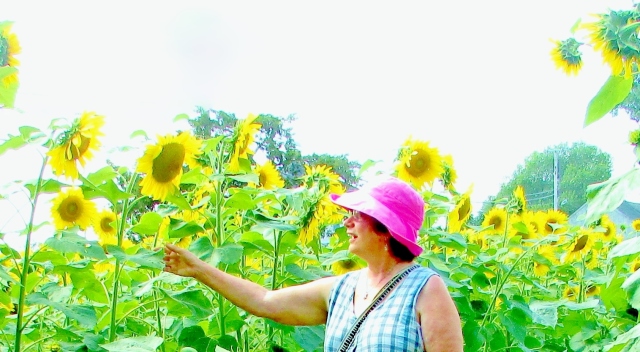 Sunflowers and smiles  at Buttonwooods Farm in Griswold, Ct.